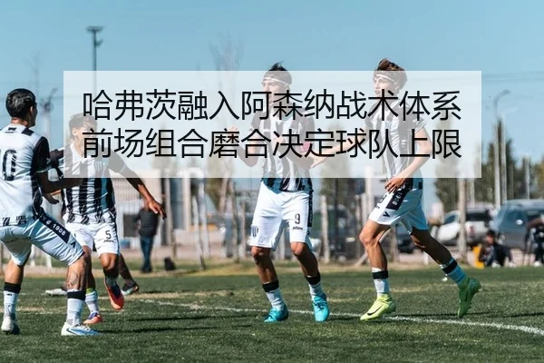 ha-fu-ci-rong-ru-a-sen-na-zhan-shu-ti-xi-qian-chang-zu-he-mo-he-jue-ding-qiu-dui-shang-xian-2-561.jpg